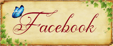 Bouton facebook 2