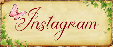 Bouton instagram